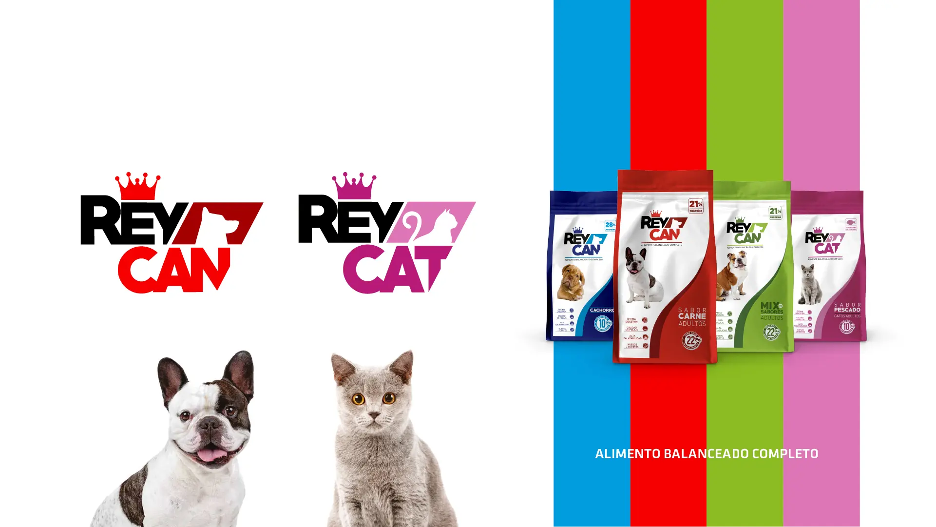 Banners_Rey Can_Rey Cat